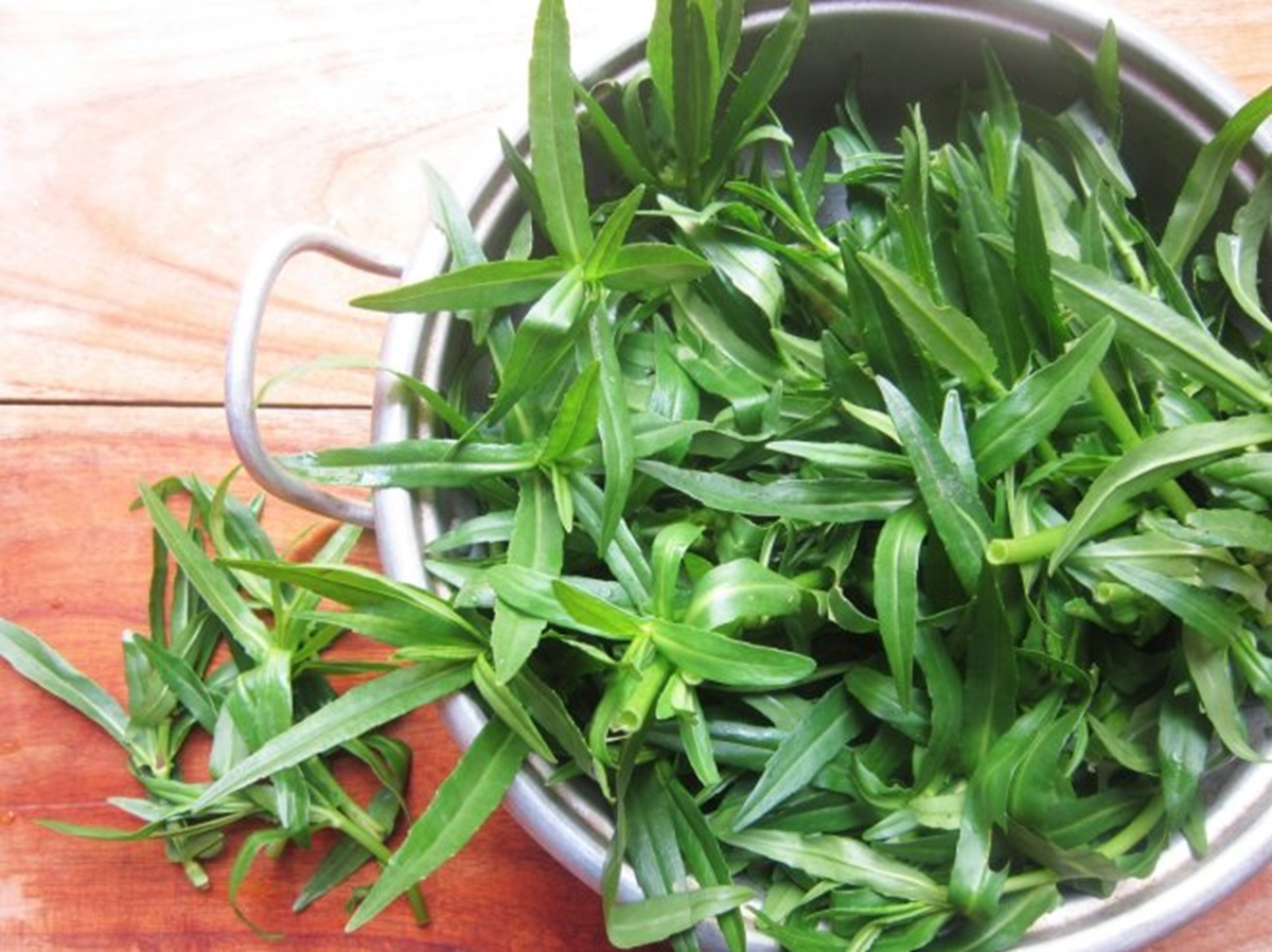 2 loại rau dễ là nơi “ổ ký sinh trùng” ẩn náu, nhất loại đầu bảng ngoài chợ có đầy- Ảnh 1.