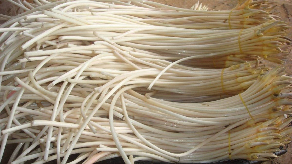 2 loại rau dễ là nơi “ổ ký sinh trùng” ẩn náu, nhất loại đầu bảng ngoài chợ có đầy- Ảnh 2.