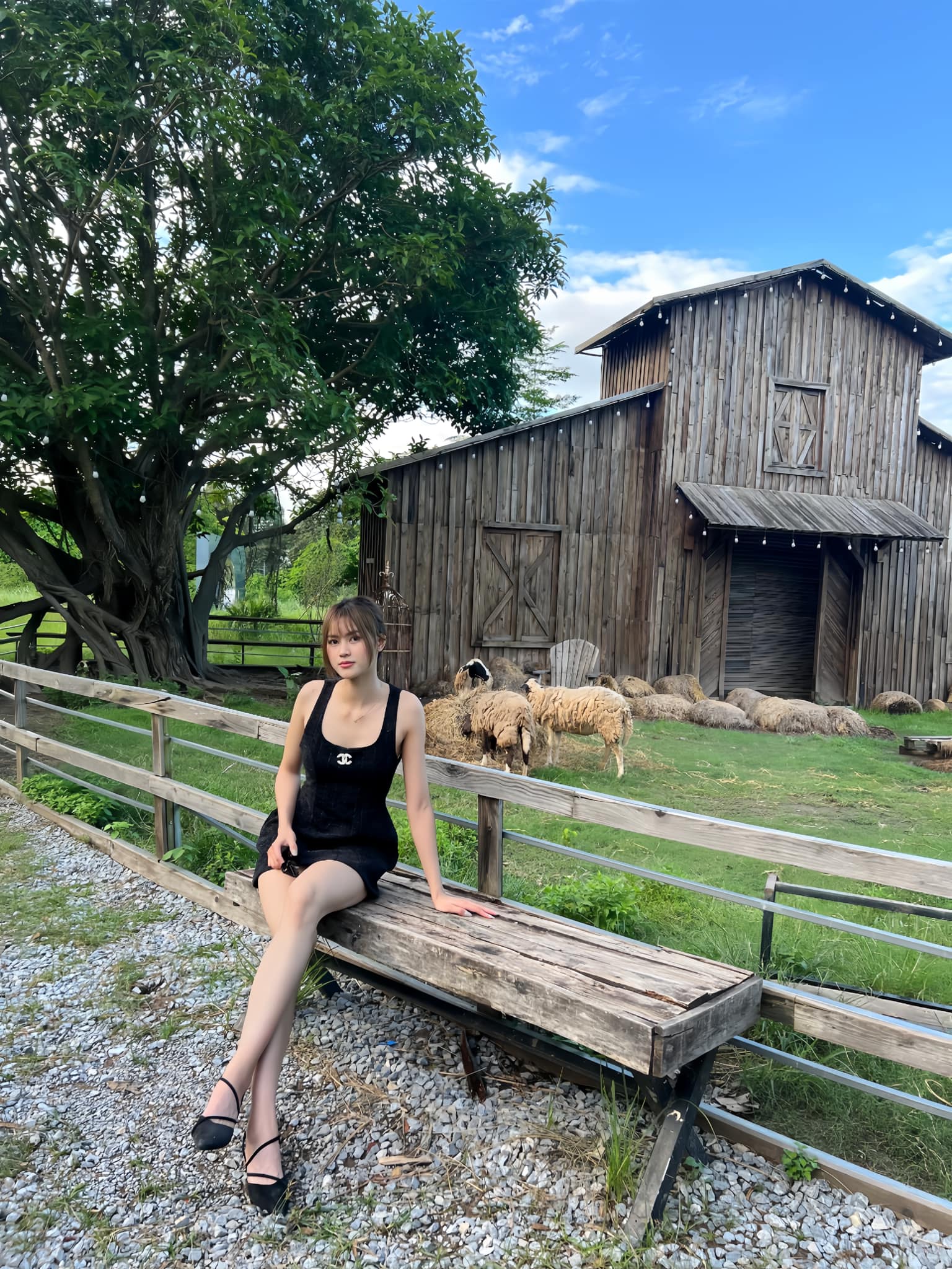 Ngắm đôi chân dài 1m15 của mỹ nhân đấu kiếm Việt, Ngắm đôi chân dài 1m15 của mỹ nhân đấu kiếm Việt,