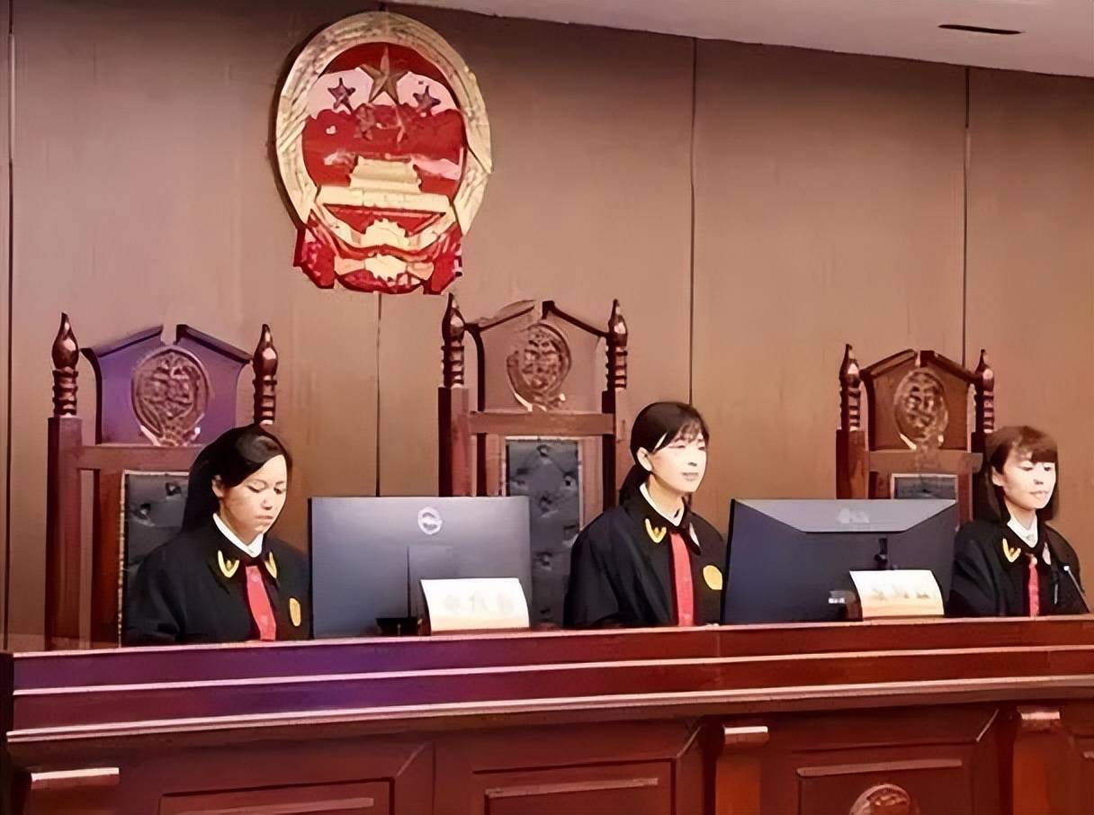 Lão nông nhà nghèo nhận nuôi một bé gái bị bỏ rơi, không ngờ 23 năm sau, chính cô lại kiện ông ra tòa- Ảnh 3.