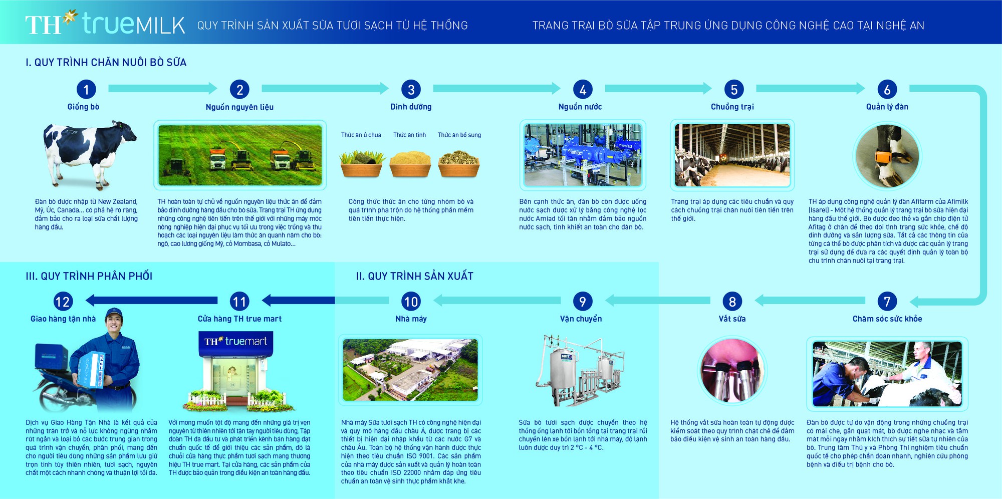 Cánh đồng hướng dương của trang trại TH mở cửa đón khách tham quan từ 16/12/2025- Ảnh 9. Cánh đồng hướng dương của trang trại TH mở cửa đón khách tham quan từ 16/12/2025- Ảnh 9.