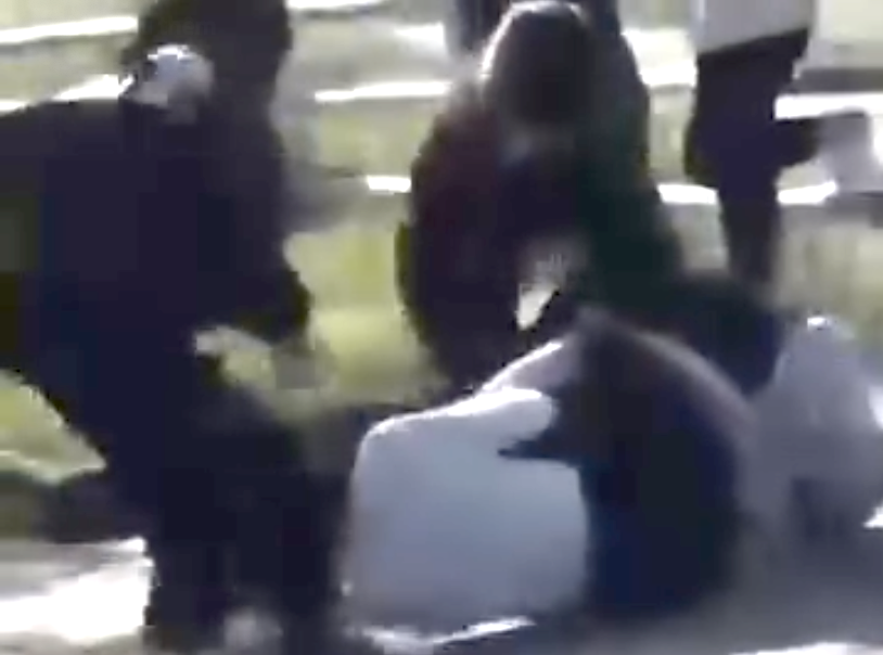 Nữ sinh lớp 10 bị nhóm học sinh lớp 8 đánh hội đồng- Ảnh 1. Nữ sinh lớp 10 bị nhóm học sinh lớp 8 đánh hội đồng- Ảnh 1.