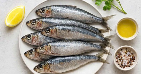 Loại c&aacute; l&agrave; 