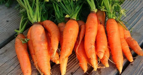 4 loại thực phẩm t&iacute;ch tụ cả kho vi nhựa, loại cuối c&ugrave;ng người Việt vẫn ăn h&agrave;ng ng&agrave;y