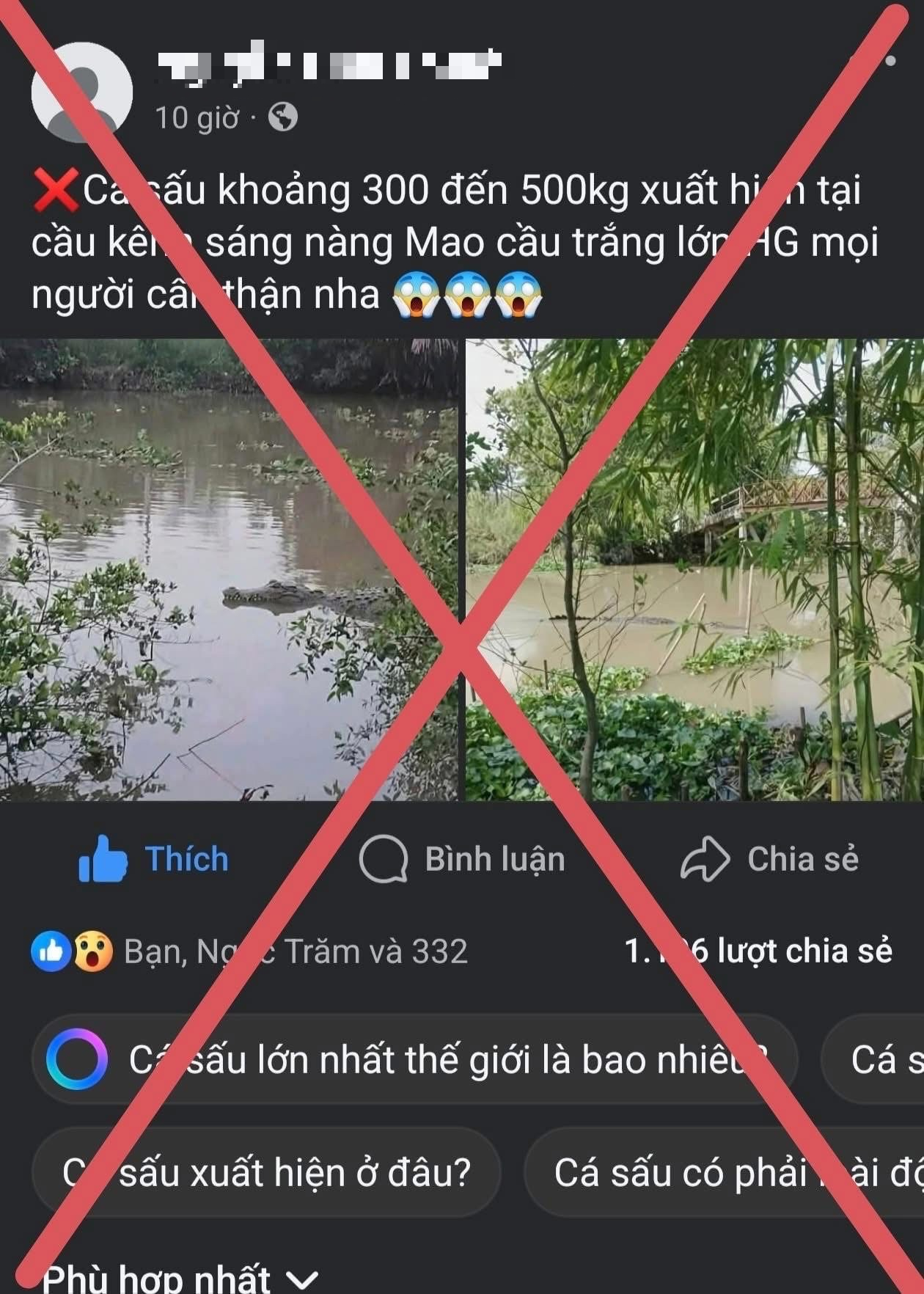 Bác bỏ thông tin lan truyền "cá sấu nặng khoảng 200-500 kg xuất hiện trên sông ở TP Cần Thơ"- Ảnh 1.