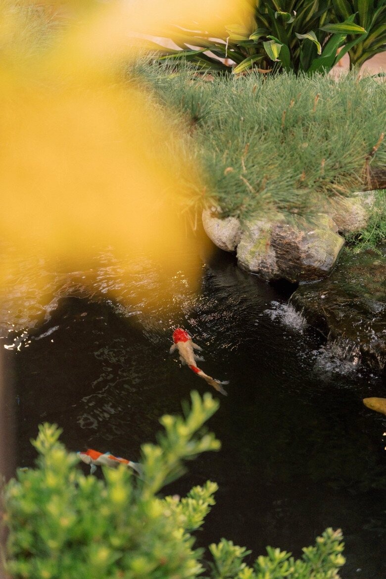 "Mỹ nhân 10 năm chăn trâu" lấy chồng giàu gia thế khủng, bước vào cửa hào môn ở biệt thự hoành tráng- Ảnh 7.