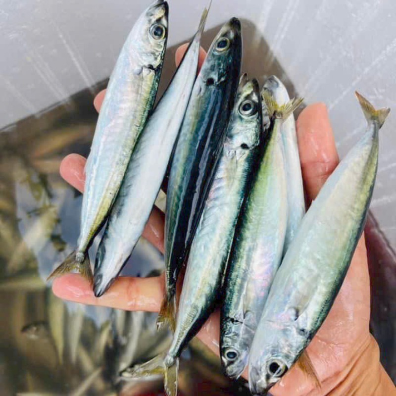 Chợ Việt có 4 loại cá sạch dễ mua, gần như không lo nhiễm kim loại nặng- Ảnh 3.