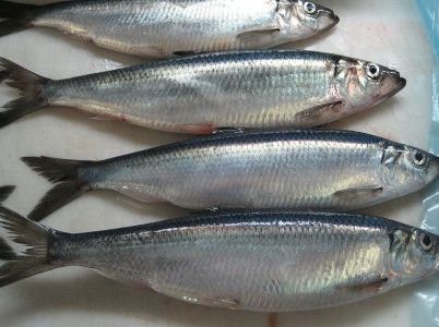 Chợ Việt có 4 loại cá sạch dễ mua, gần như không lo nhiễm kim loại nặng- Ảnh 1.