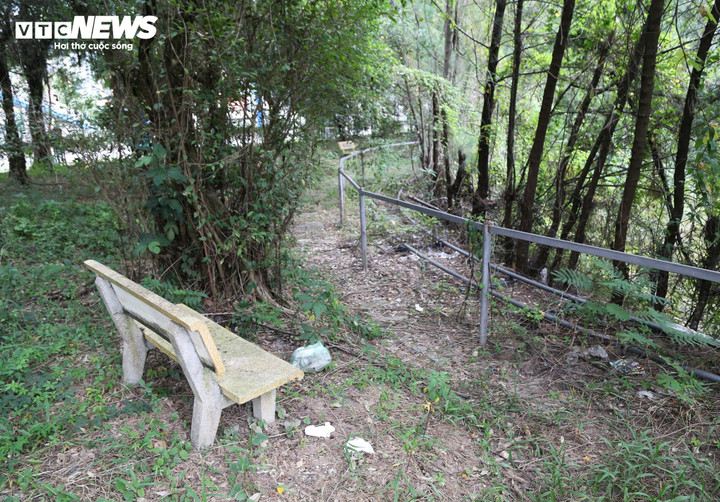 Công viên 45 tỷ đồng ở Quảng Ninh xây xong rồi bỏ hoang- Ảnh 3.