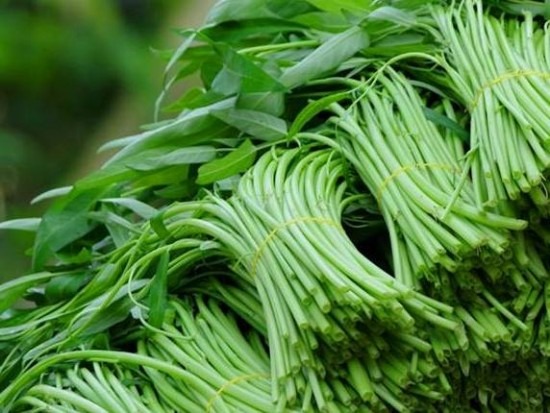 6 loại rau càng rẻ càng dễ bị phun thuốc- Ảnh 1. 6 loại rau càng rẻ càng dễ bị phun thuốc- Ảnh 1.