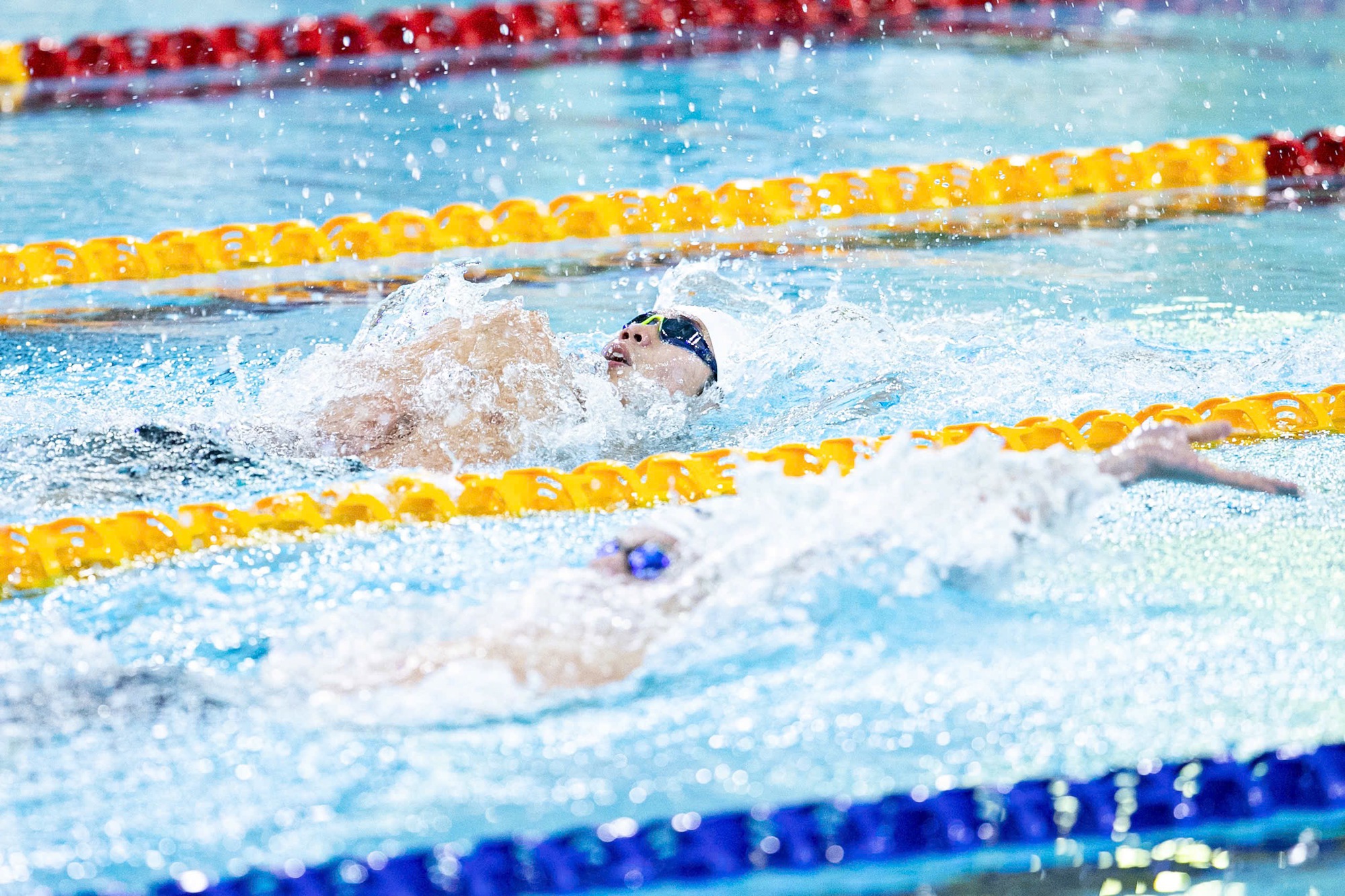 Quang Thuấn - em trai Ánh Viên bơi 