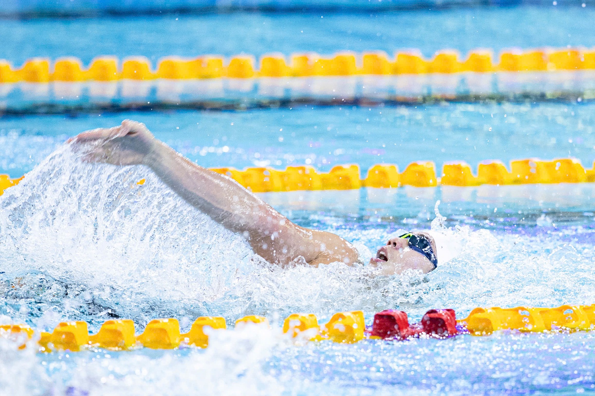 Quang Thuấn - em trai Ánh Viên bơi 