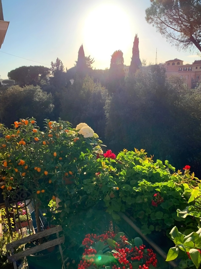 "Hoa hậu giàu nhất Việt Nam" lấy chồng giáo sư tiến sĩ, không đăng ký kết hôn, bất động sản trải dài 3 châu lục- Ảnh 17.