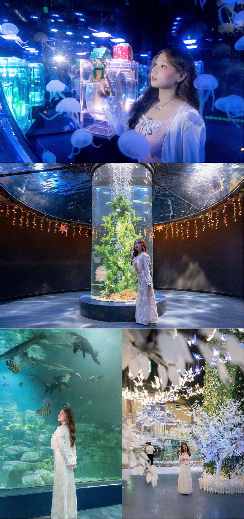 Điểm qua những khu vực check–in “hot hit” nhất tại Thủy cung Lotte World Hà Nội mùa Giáng sinh 2025- Ảnh 1.