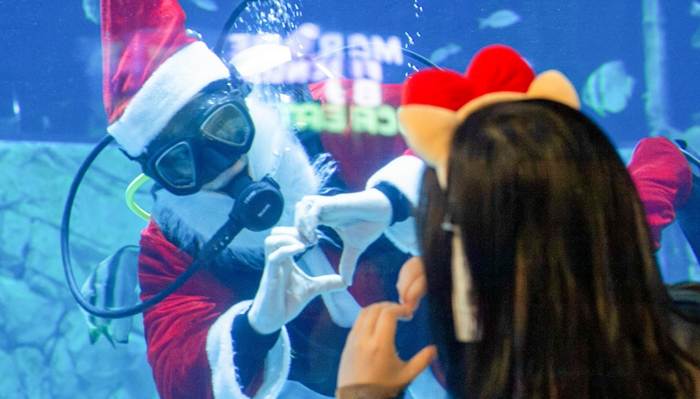 Điểm qua những khu vực check–in “hot hit” nhất tại Thủy cung Lotte World Hà Nội mùa Giáng sinh 2025- Ảnh 4.