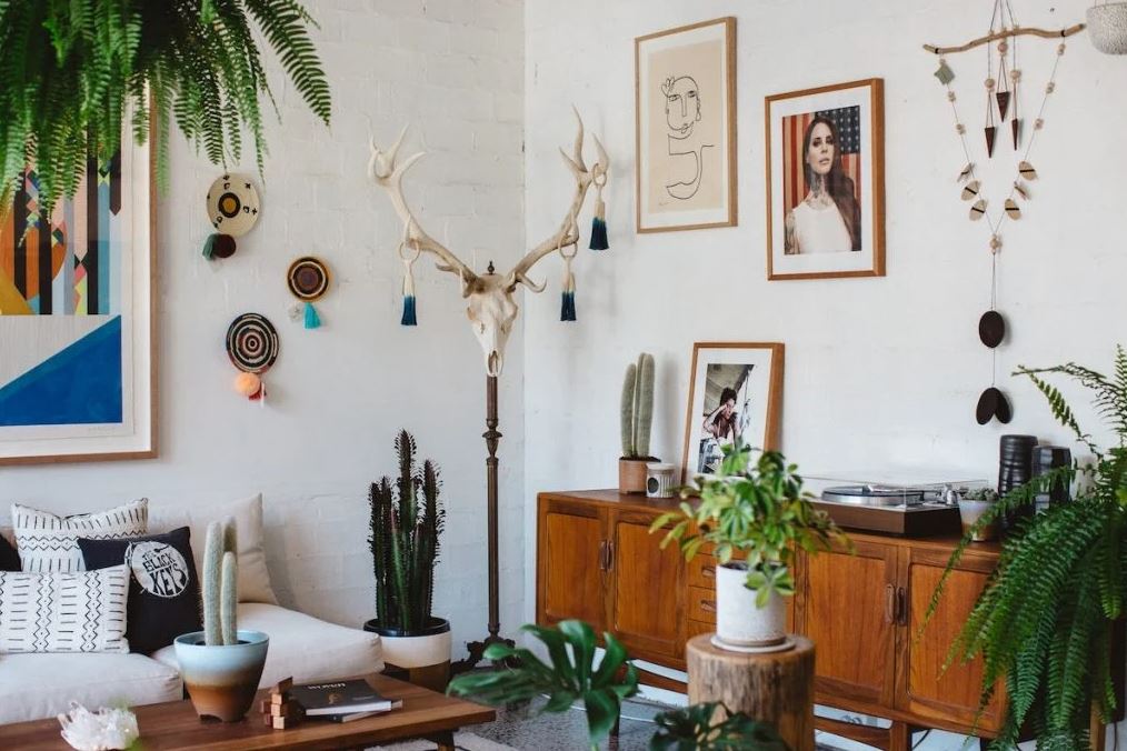 4 sai lầm thường gặp nhất khi trồng cây trong nhà- Ảnh 4.