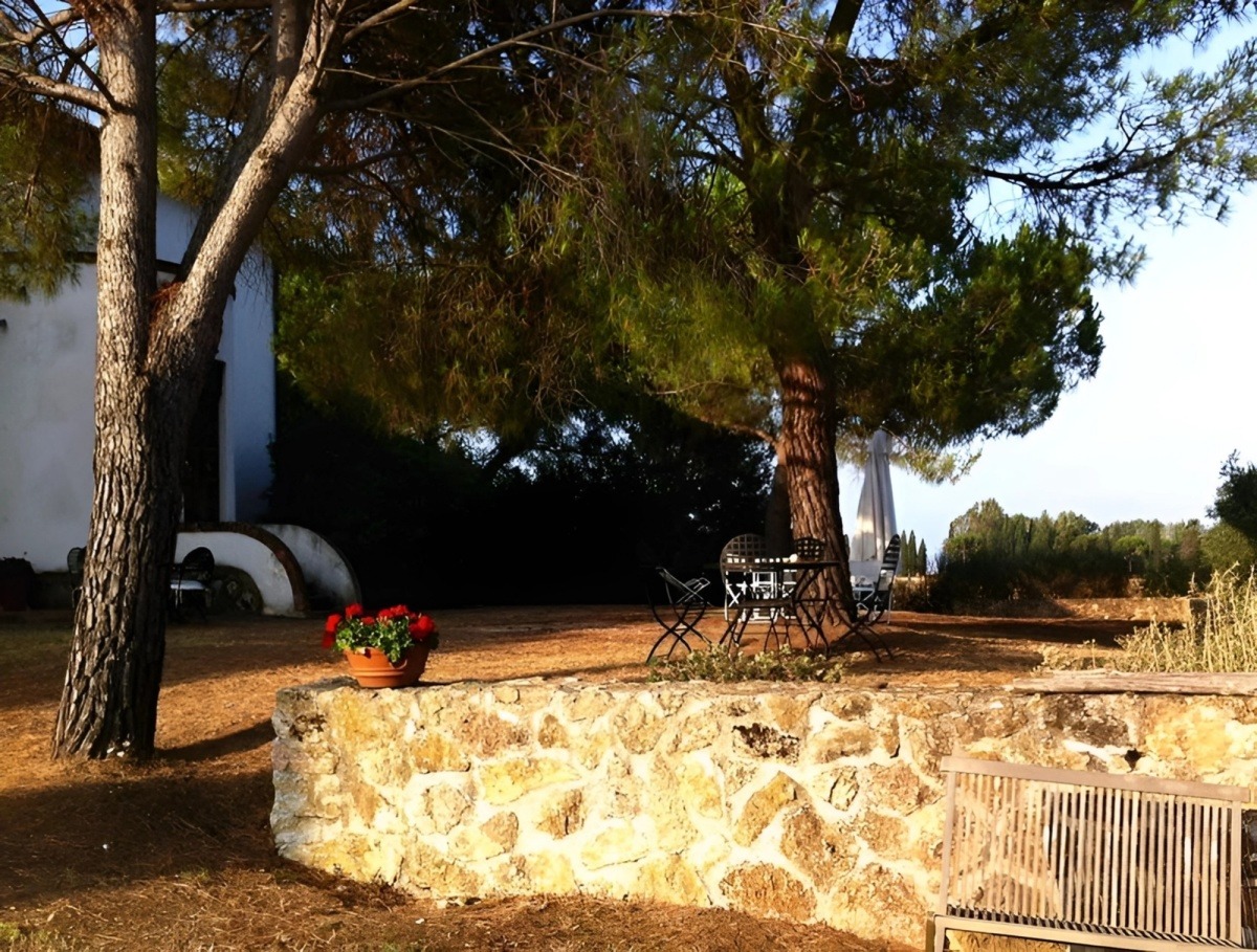 "Hoa hậu giàu nhất Việt Nam" lấy chồng giáo sư tiến sĩ, không đăng ký kết hôn, bất động sản trải dài 3 châu lục- Ảnh 20.