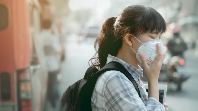 5 món ăn là “lá chắn vô hình” giúp phổi sạch sẽ và đào thải độc tố, cần chăm dùng để giảm tác hại của bụi mịn- Ảnh 1.