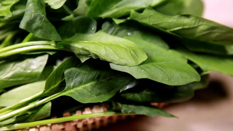 10 loại rau dễ ngậm thuốc trừ s&acirc;u nhất chợ, chọn mua nhớ ch&uacute; &yacute; 4 điểm n&agrave;y- Ảnh 1.