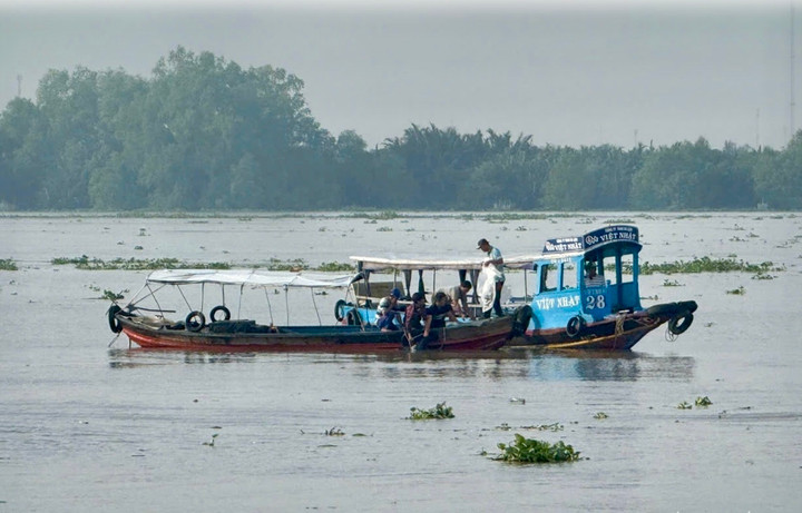 Vỏ lãi tông đò ngang trên sông Tiền: Tìm thấy thi thể người lái đò- Ảnh 1.