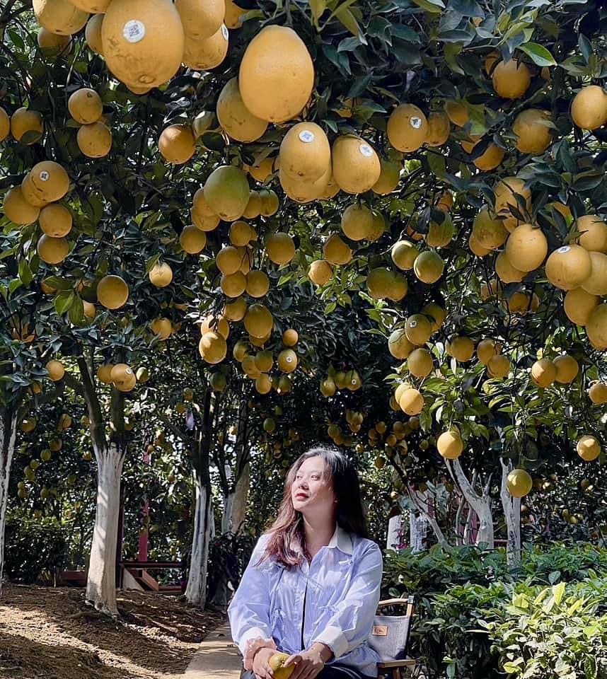 Điểm miền núi phía Bắc nhiều người đang rủ nhau đi: Càng cuối năm càng đông, có đặc sản "hiếm" ở Việt Nam- Ảnh 9. Điểm miền núi phía Bắc nhiều người đang rủ nhau đi: Càng cuối năm càng đông, có đặc sản