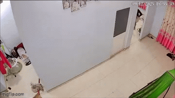 Clip gây phẫn nộ: Chồng túm tóc, đấm vợ tới tấp như kẻ thù, mặc con nhỏ khóc thét hoảng loạn dưới sàn nhà- Ảnh 2.