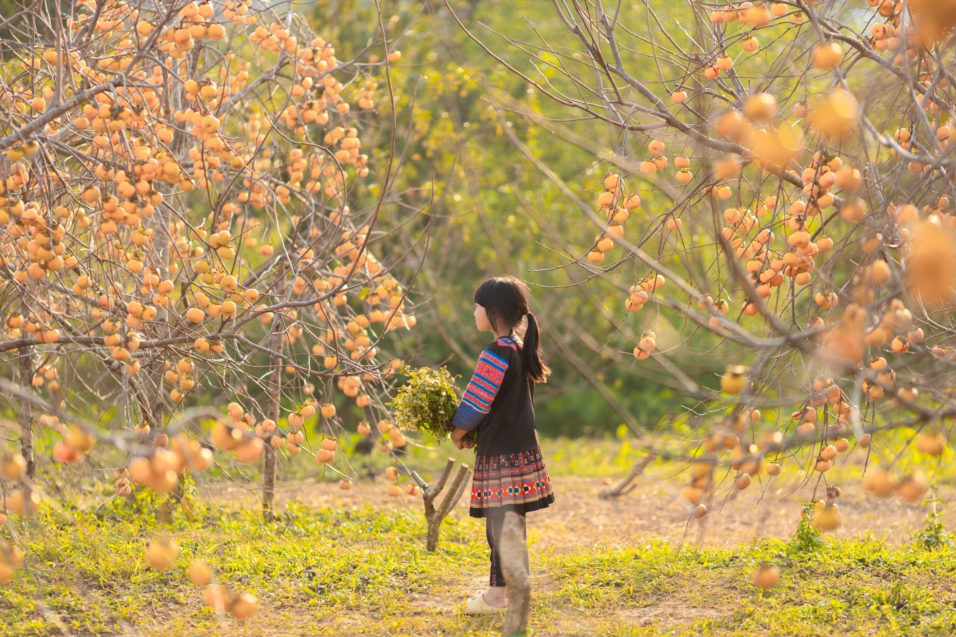 Điểm miền núi phía Bắc nhiều người đang rủ nhau đi: Càng cuối năm càng đông, có đặc sản "hiếm" ở Việt Nam- Ảnh 3. Điểm miền núi phía Bắc nhiều người đang rủ nhau đi: Càng cuối năm càng đông, có đặc sản