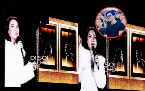 Mỹ Tâm tìm Mai Tài Phến giữa biển 40 nghìn người- Ảnh 3.