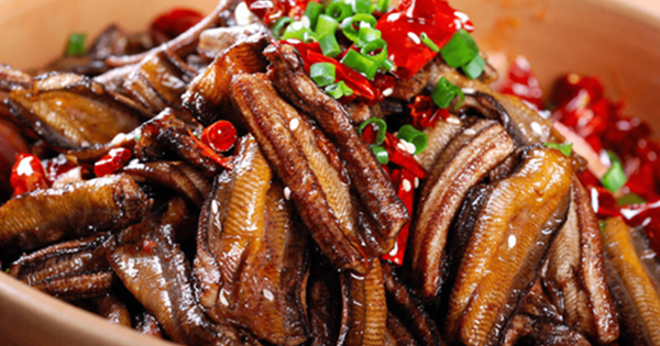 4 loại cá dễ chứa 