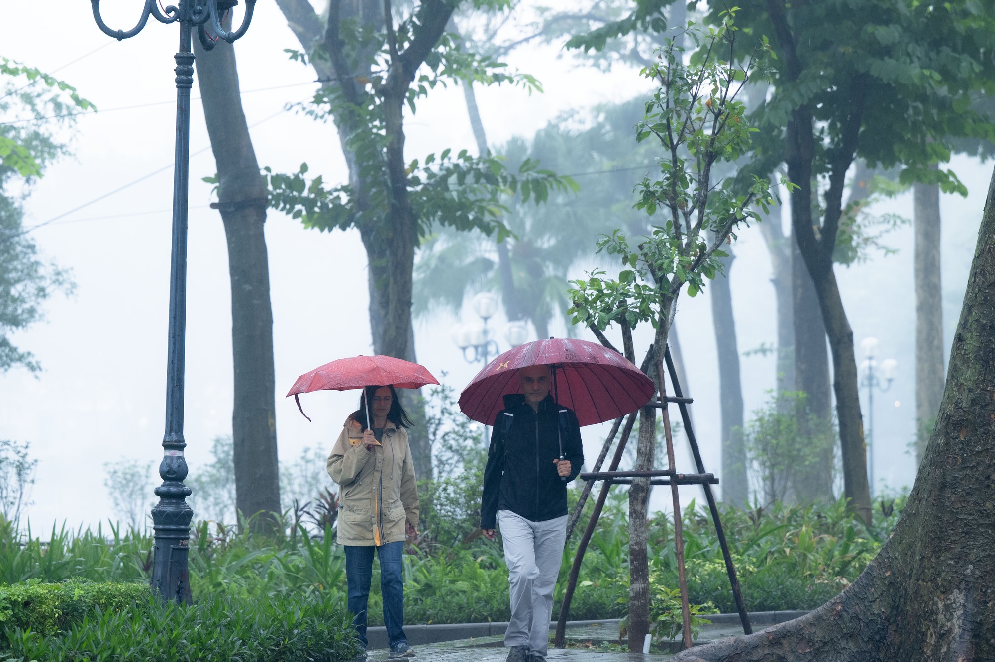 Sáng thứ Bảy, Hà Nội khác lạ khi hứng trọn combo sương mù, ô nhiễm, mưa lạnh- Ảnh 3. Sáng thứ Bảy, Hà Nội khác lạ khi hứng trọn combo sương mù, ô nhiễm, mưa lạnh- Ảnh 3.