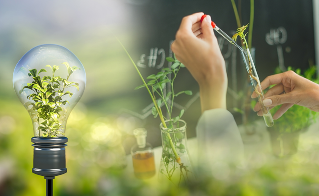 5 ngành học phụ huynh cứ nghe tên là sợ nhưng tương lai cực sáng, 10 năm nữa sẽ phát triển- Ảnh 2. 5 ngành học phụ huynh cứ nghe tên là sợ nhưng tương lai cực sáng, 10 năm nữa sẽ phát triển- Ảnh 2.