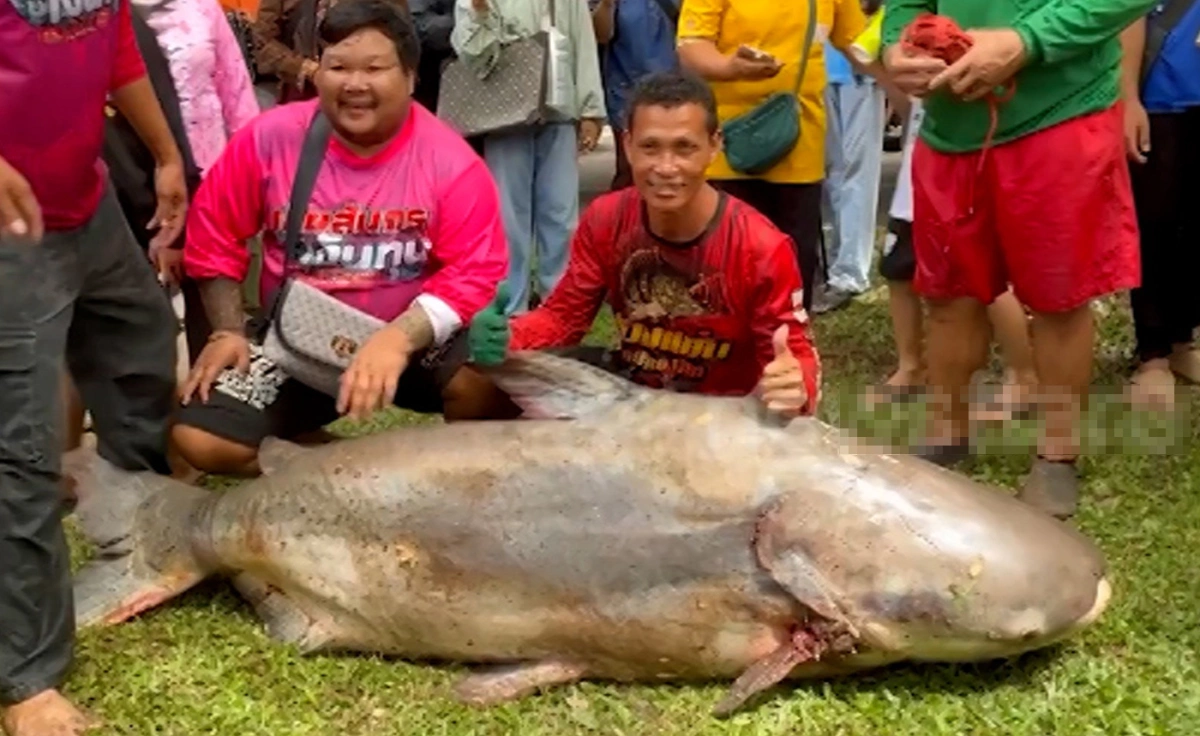 Người đ&agrave;n &ocirc;ng bắt được &ldquo;thủy qu&aacute;i&rdquo; nặng 200kg tr&ecirc;n s&ocirc;ng- Ảnh 1.