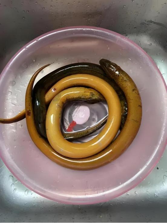 4 loại c&aacute; dễ chứa "ổ s&aacute;n", chủ sạp b&aacute;n cũng ngại ăn- Ảnh 3.