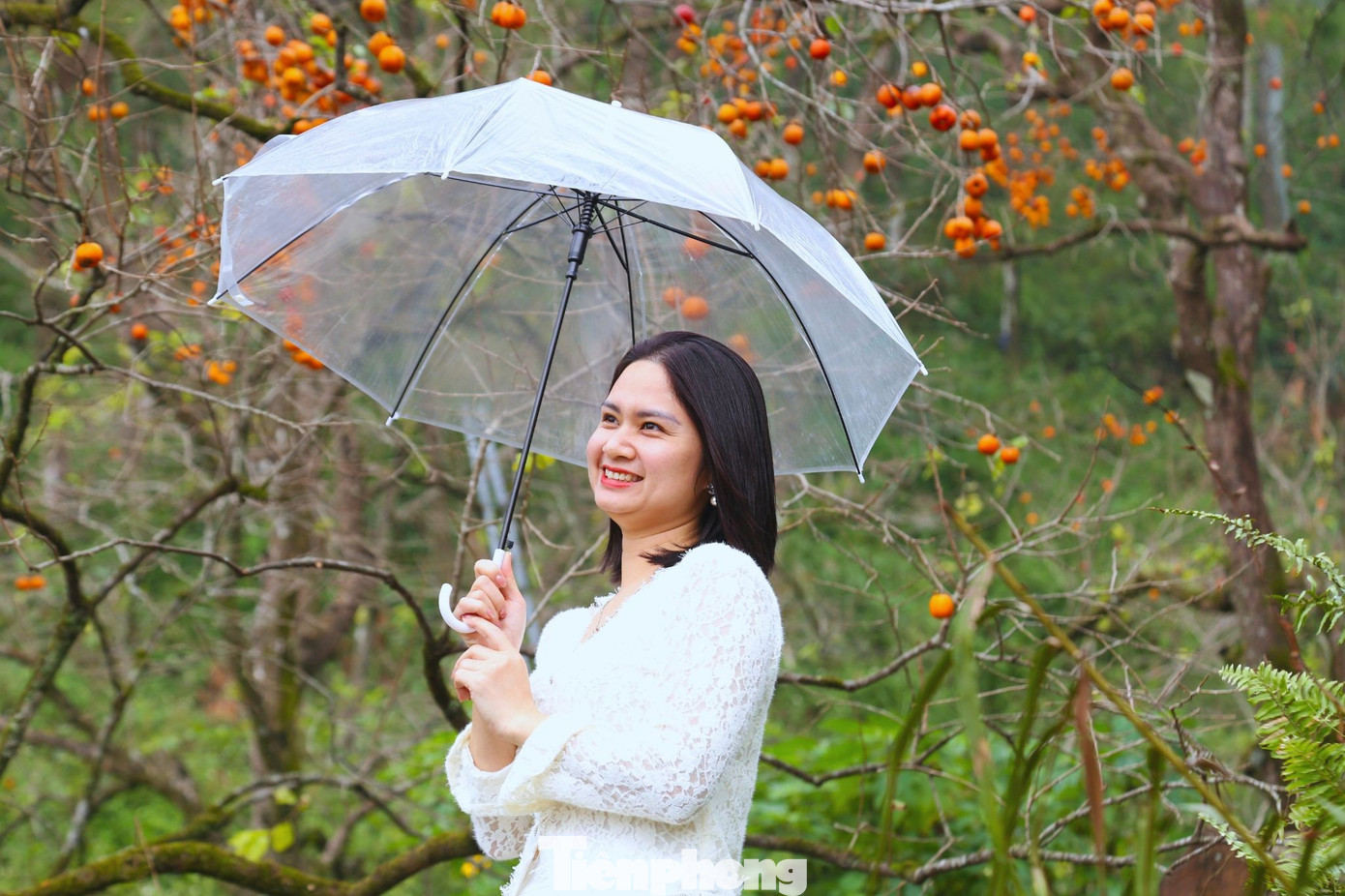 Check in ở 'thủ phủ' hồng cổ thụ ch&iacute;n rực rỡ- Ảnh 8.