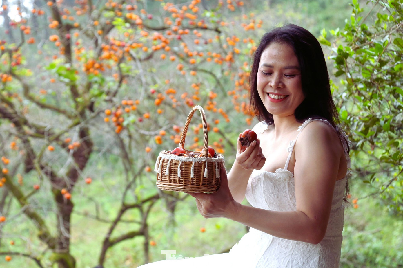 Check in ở 'thủ phủ' hồng cổ thụ ch&iacute;n rực rỡ- Ảnh 12.