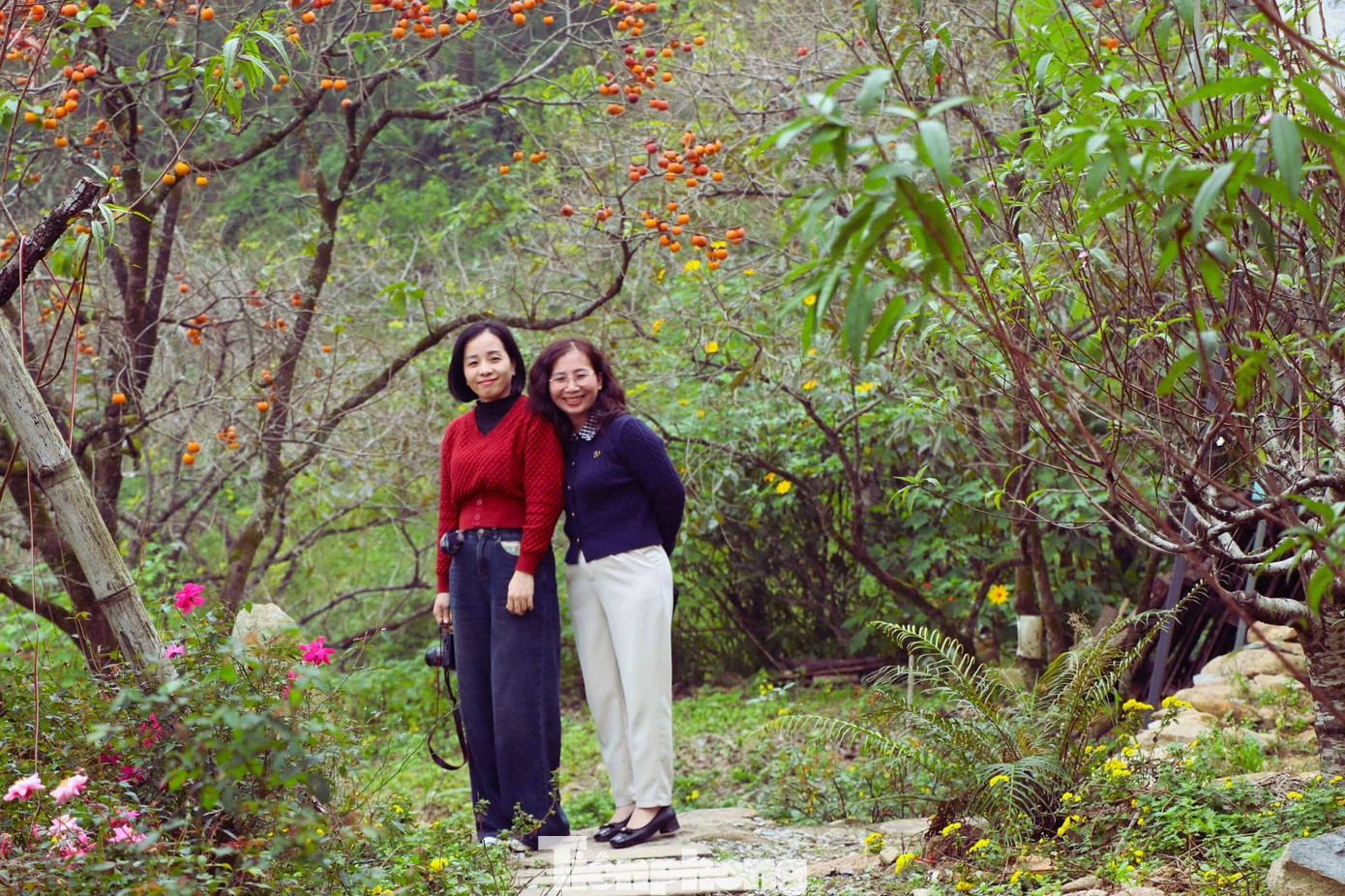 Check in ở 'thủ phủ' hồng cổ thụ ch&iacute;n rực rỡ- Ảnh 3.