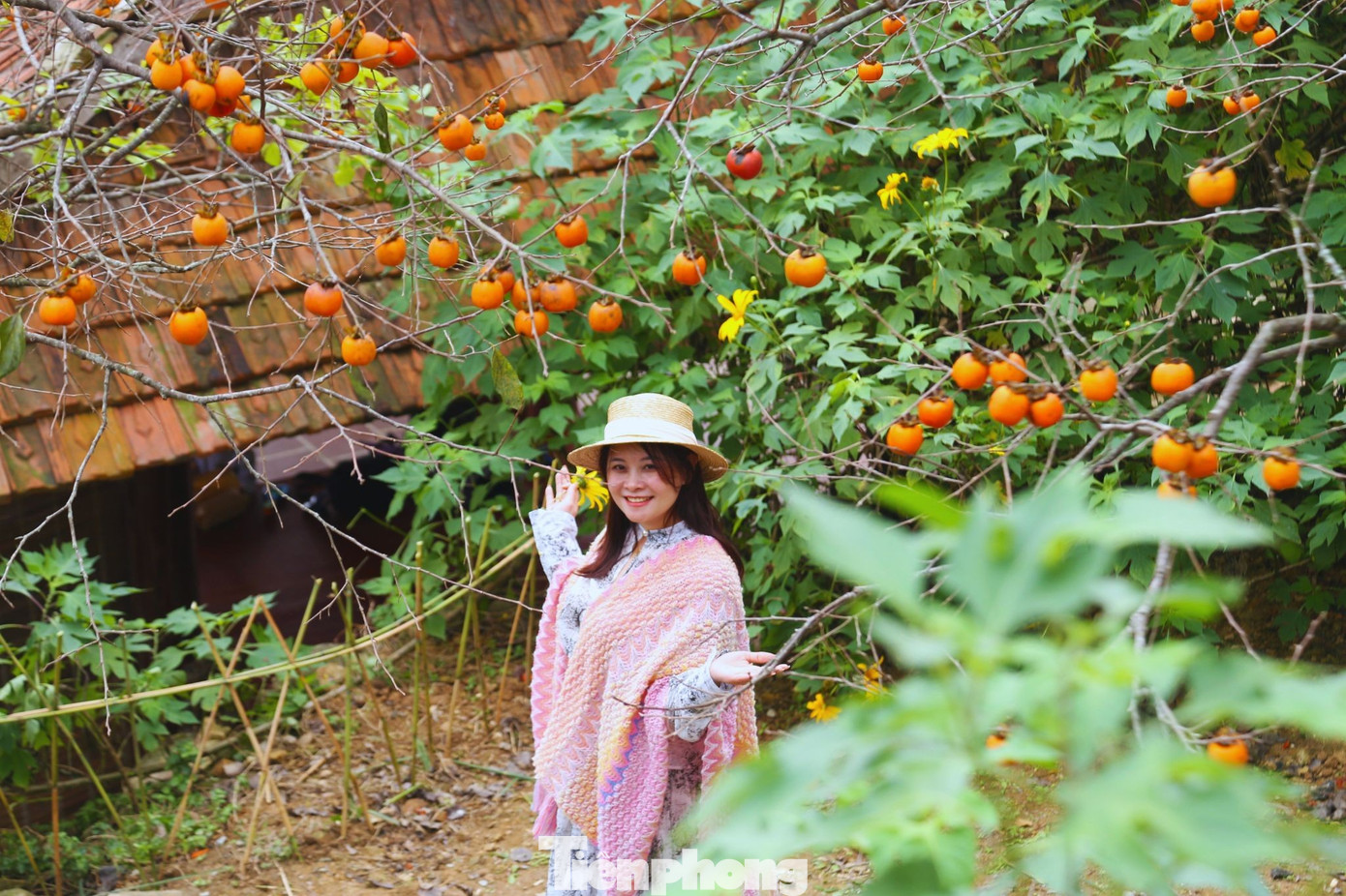 Check in ở 'thủ phủ' hồng cổ thụ ch&iacute;n rực rỡ- Ảnh 7.