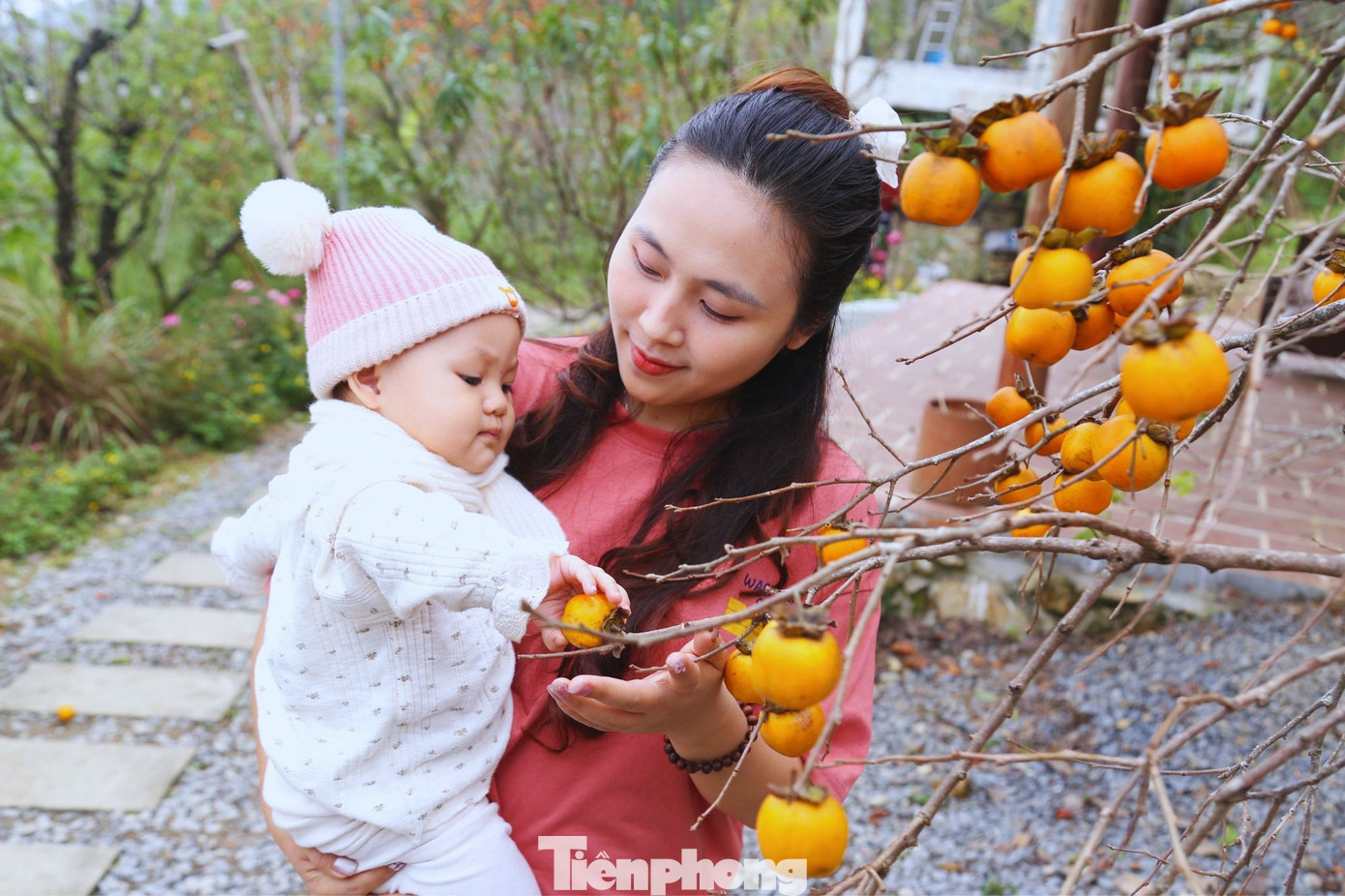 Check in ở 'thủ phủ' hồng cổ thụ ch&iacute;n rực rỡ- Ảnh 11.