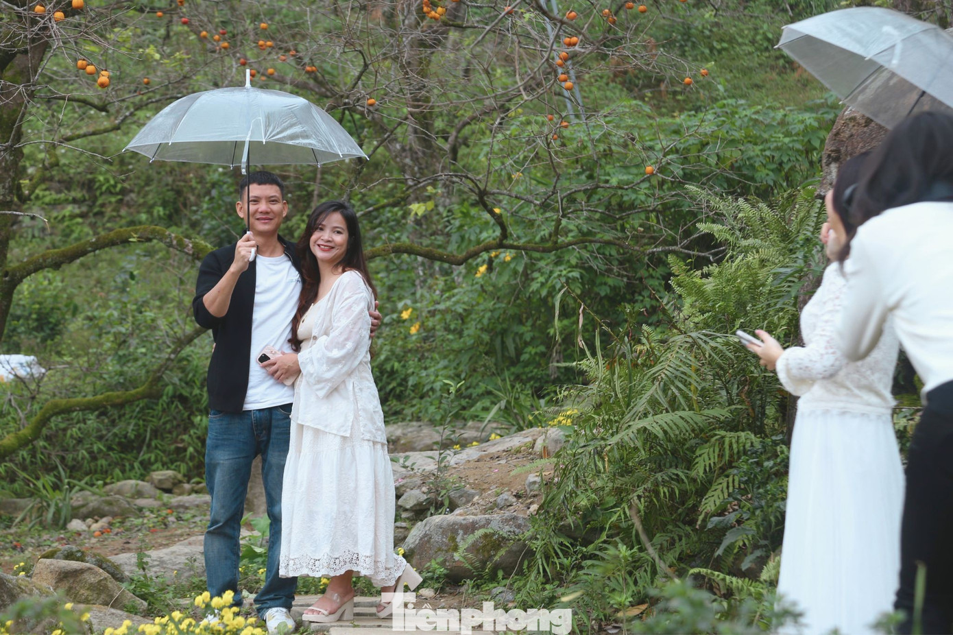 Check in ở 'thủ phủ' hồng cổ thụ ch&iacute;n rực rỡ- Ảnh 4.