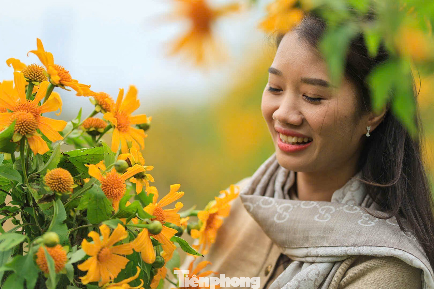 Tới Cao Bằng mùa này, du khách thốt lên: 'Đứng góc nào cũng có ảnh đẹp'- Ảnh 4.