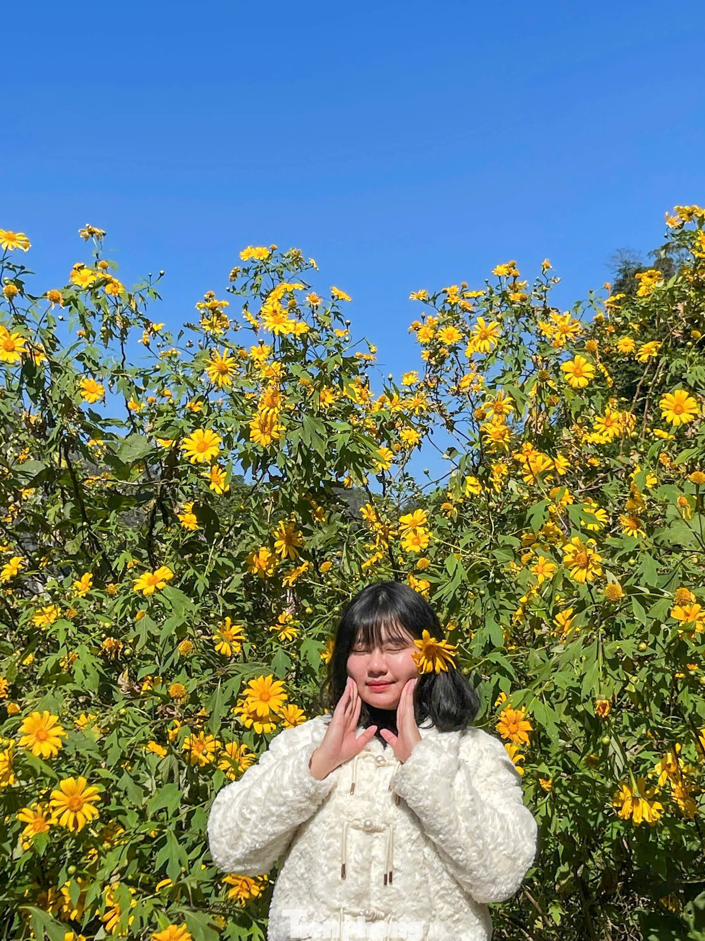 Tới Cao Bằng mùa này, du khách thốt lên: 'Đứng góc nào cũng có ảnh đẹp'- Ảnh 5.