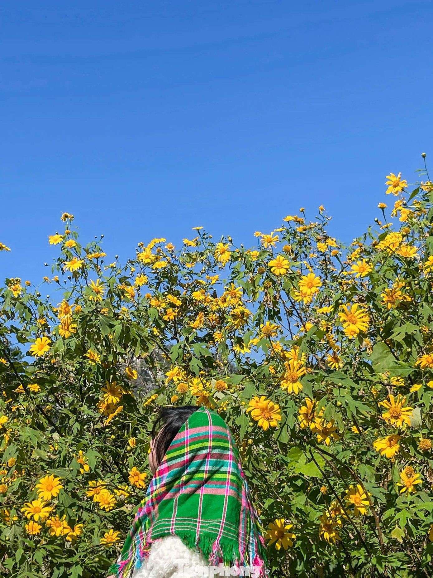 Tới Cao Bằng mùa này, du khách thốt lên: 'Đứng góc nào cũng có ảnh đẹp'- Ảnh 6.