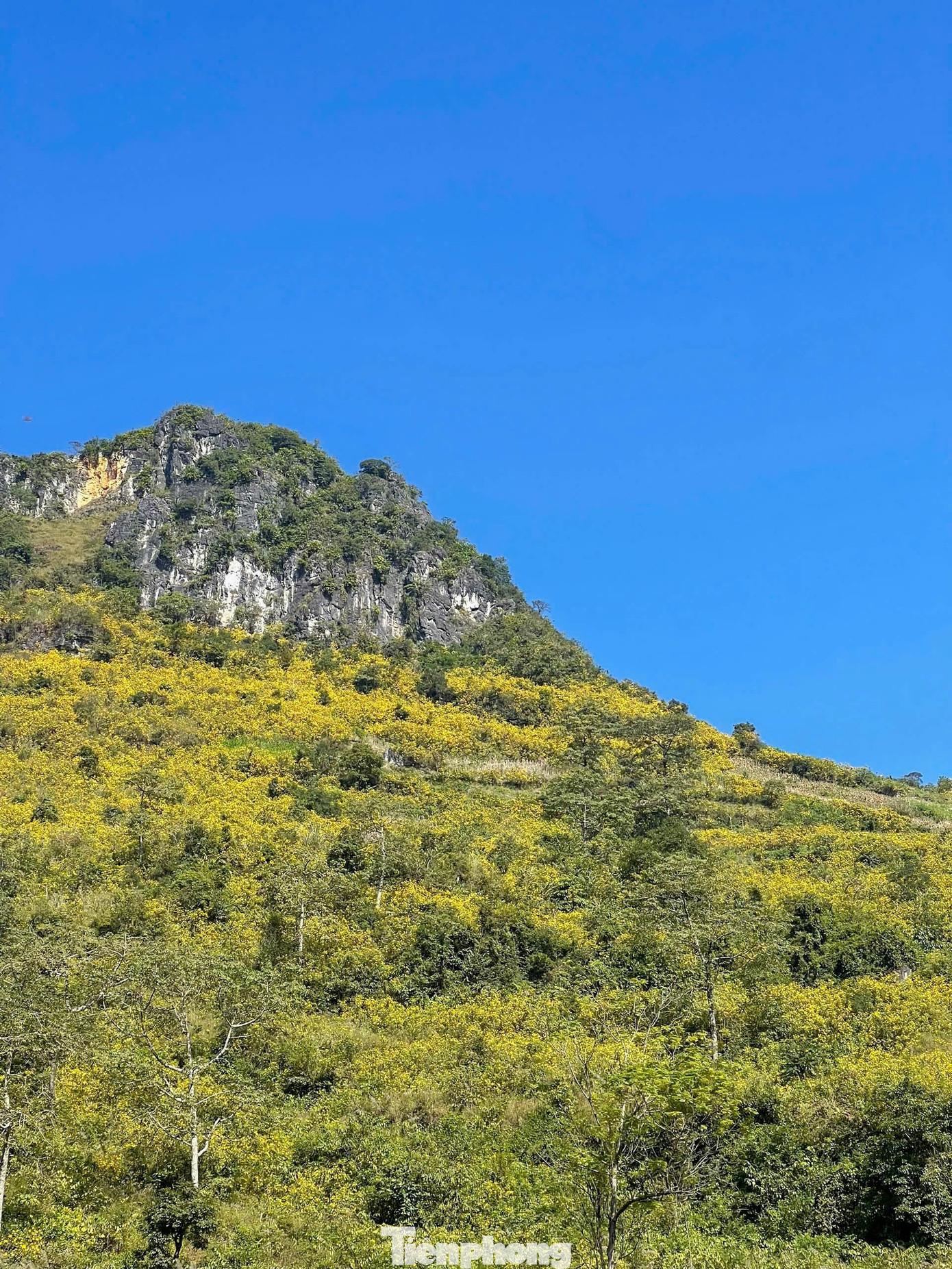 Tới Cao Bằng mùa này, du khách thốt lên: 'Đứng góc nào cũng có ảnh đẹp'- Ảnh 7.
