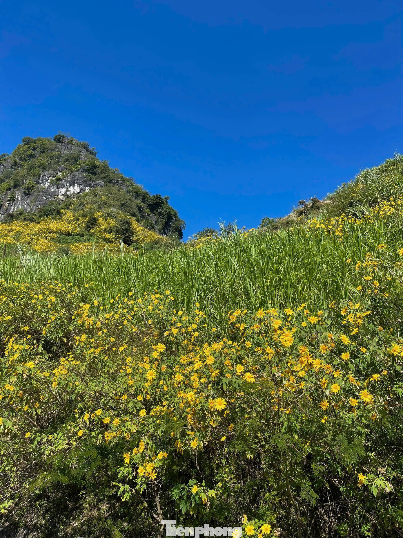 Tới Cao Bằng mùa này, du khách thốt lên: 'Đứng góc nào cũng có ảnh đẹp'- Ảnh 3.