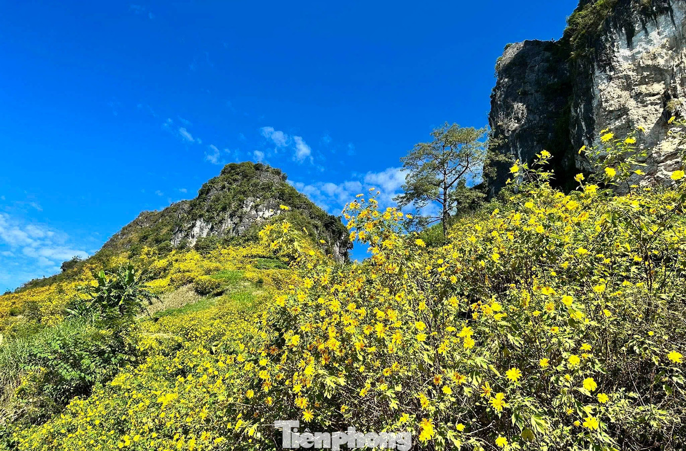 Tới Cao Bằng mùa này, du khách thốt lên: 'Đứng góc nào cũng có ảnh đẹp'- Ảnh 1.