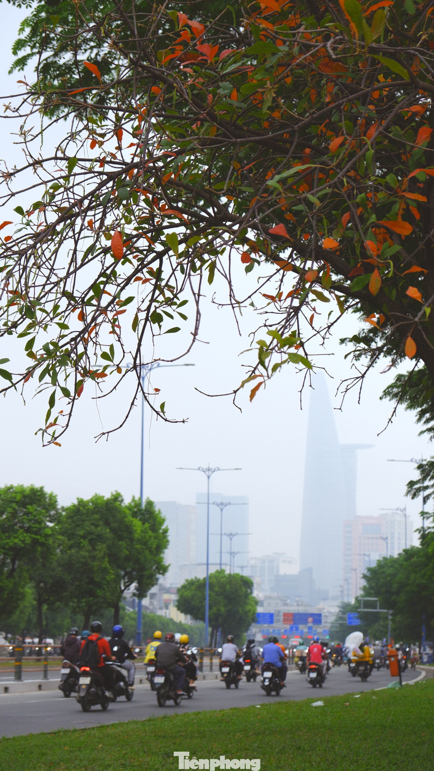 Bầu trời TPHCM đục ngầu, nồng độ bụi mịn vượt ngưỡng nhiều lần- Ảnh 2.