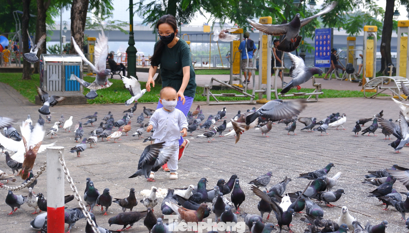 Bầu trời TPHCM đục ngầu, nồng độ bụi mịn vượt ngưỡng nhiều lần- Ảnh 11.