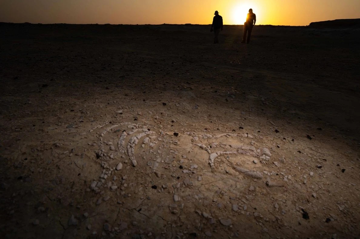 170 điểm chứa xương "nàng tiên cá" lộ ra giữa sa mạc Trung Đông- Ảnh 1. 170 điểm chứa xương "nàng tiên cá" lộ ra giữa sa mạc Trung Đông- Ảnh 1.