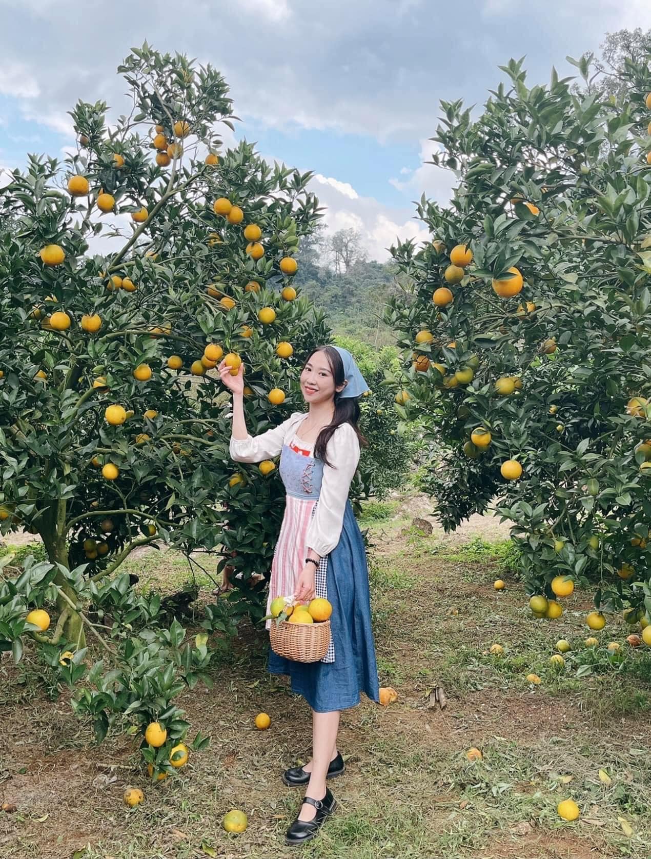 Điểm miền núi phía Bắc nhiều người đang rủ nhau đi: Càng cuối năm càng đông, có đặc sản "hiếm" ở Việt Nam- Ảnh 11. Điểm miền núi phía Bắc nhiều người đang rủ nhau đi: Càng cuối năm càng đông, có đặc sản