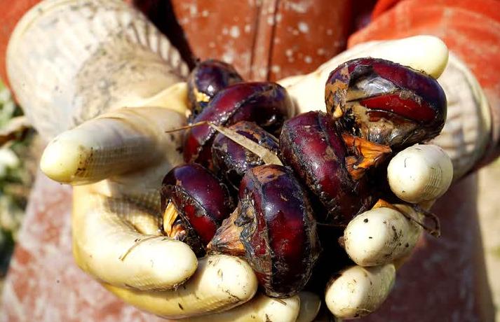 4 loại rau dễ chứa "ổ sán", chủ sạp bán cũng ngại ăn- Ảnh 3.